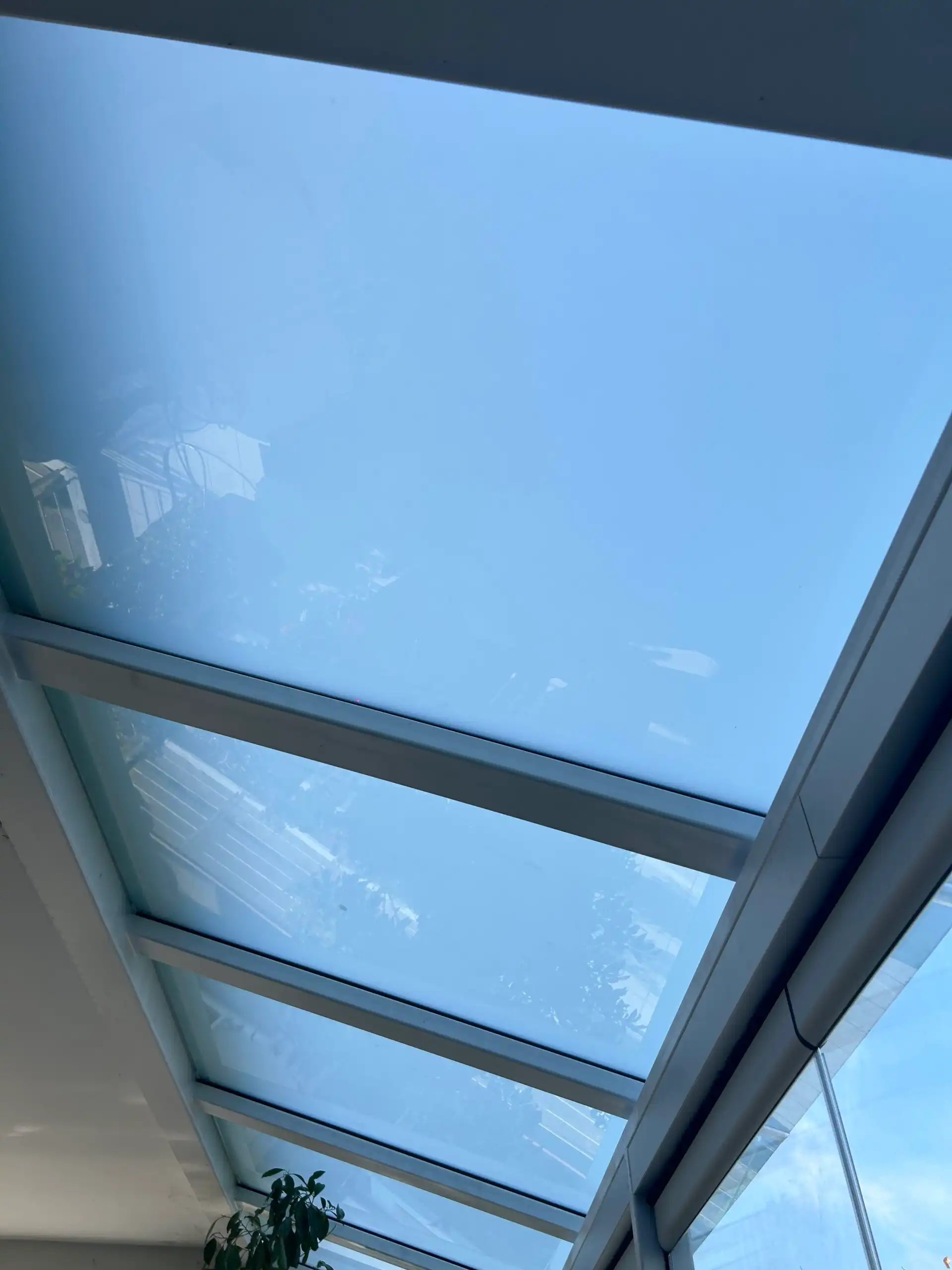 IMG_0663-scaled-1-1-1